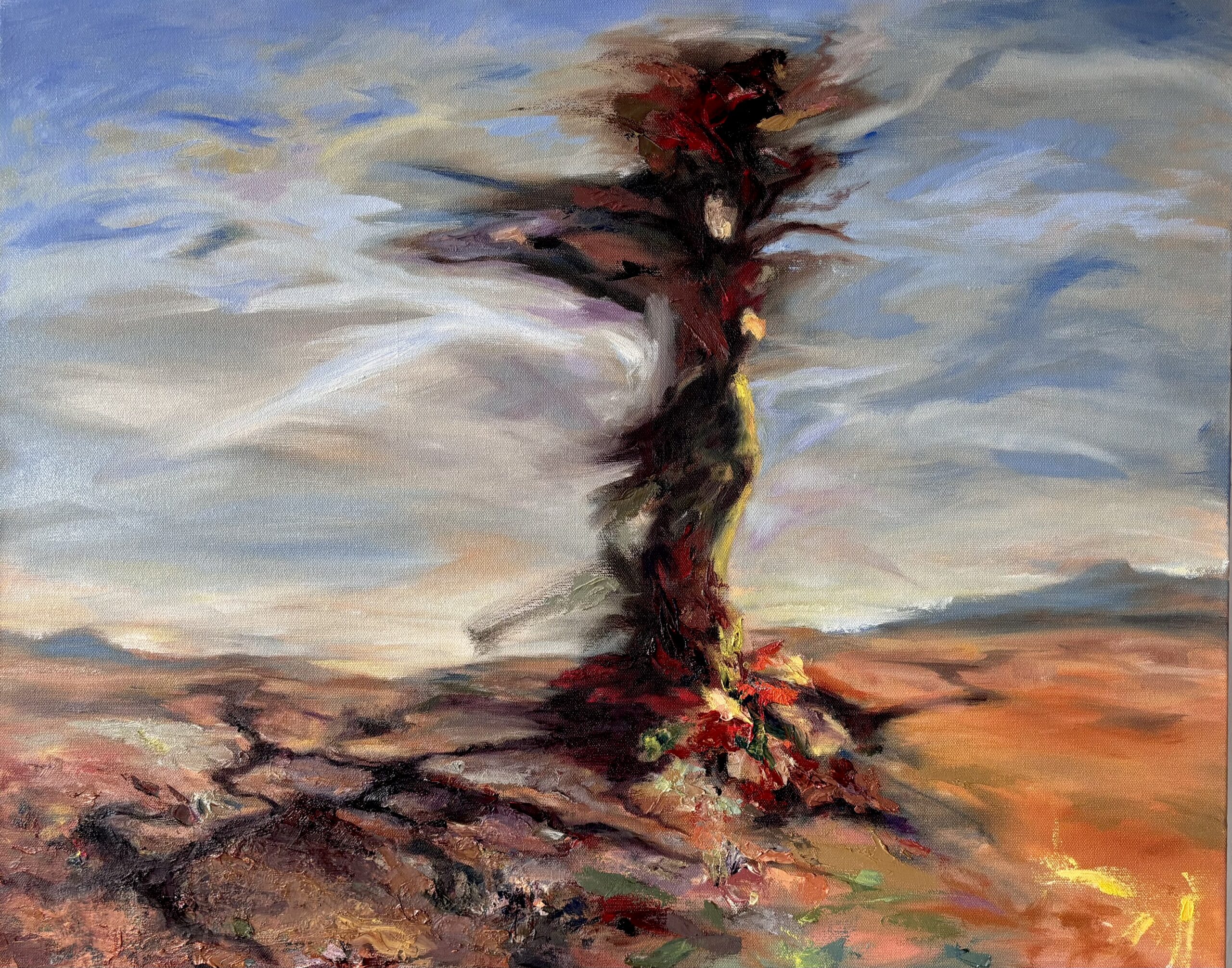‘Dervish’ oil, 24”x30”