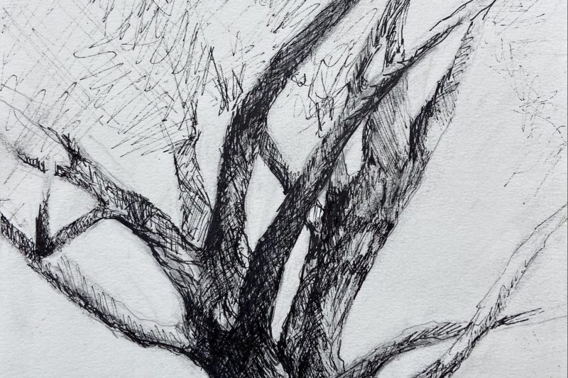 Sketch Book