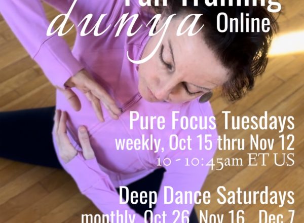 Fall Training Online with Dunya