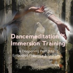 Dancemeditation™ Immersion Training