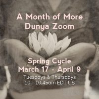 Spring Cycle: A Month of More Dunya Zoom